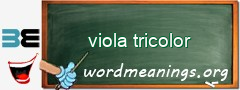 WordMeaning blackboard for viola tricolor